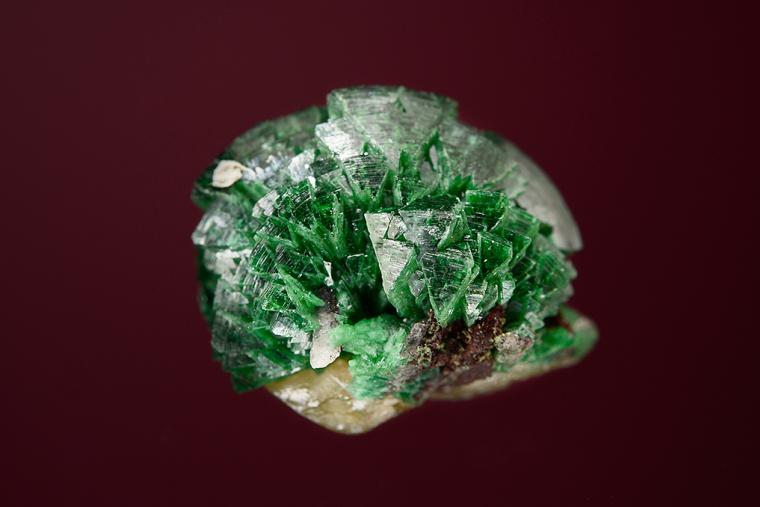 Cuprian ADAMITE on WULFENITE