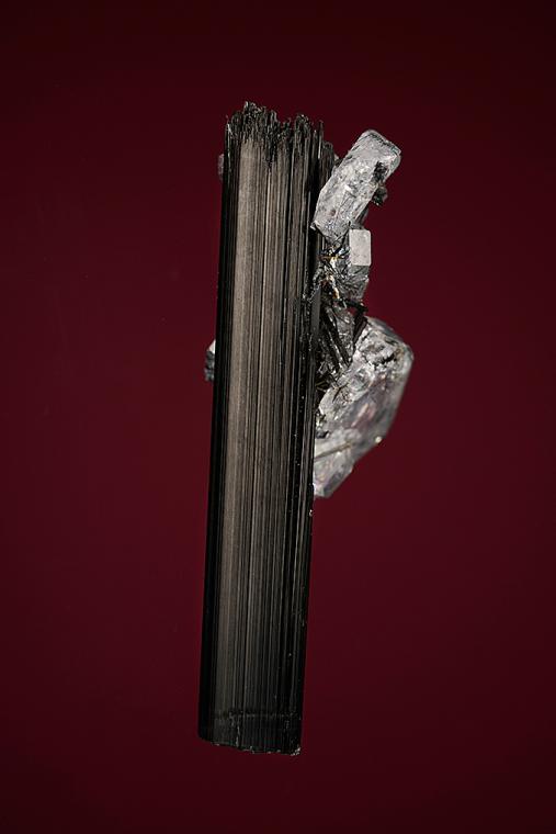 FLUORAPATITE on Tourmaline