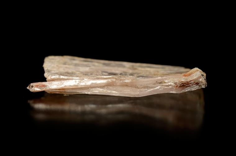 LEITEITE