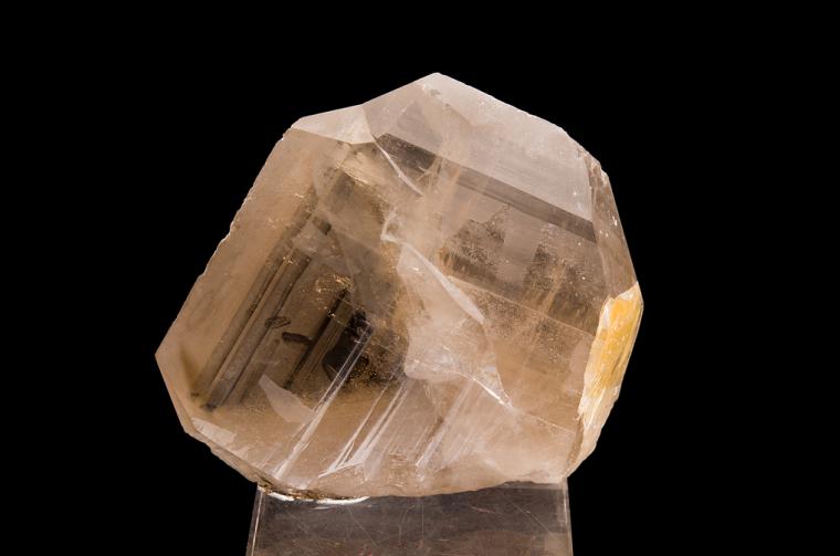 QUARTZ (Japan-law twin)