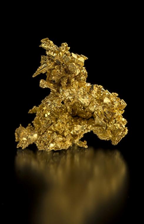 GOLD