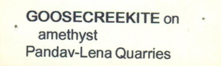 GOOSECREEKITE on QUARTZ var. Amethyst