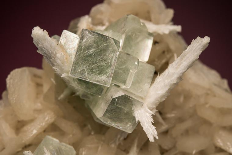 SCOLECITE with APOPHYLLITE on STILBITE