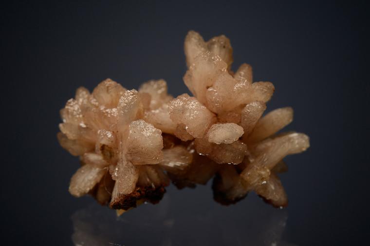 POLDERVAARTITE