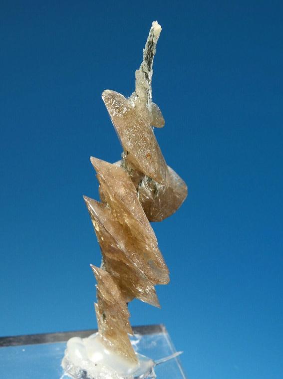 TITANITE on ACTINOLITE