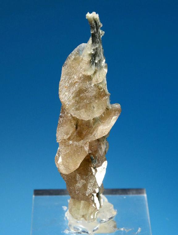 TITANITE on ACTINOLITE