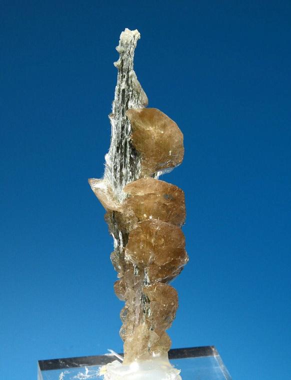 TITANITE on ACTINOLITE