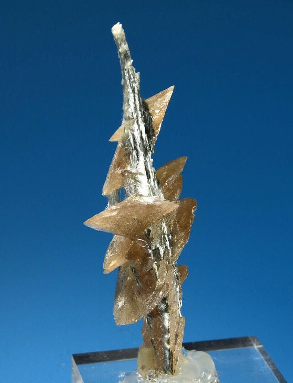TITANITE on ACTINOLITE