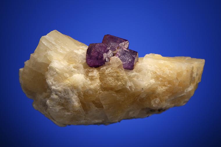 CORUNDUM var. Sapphire in CALCITE