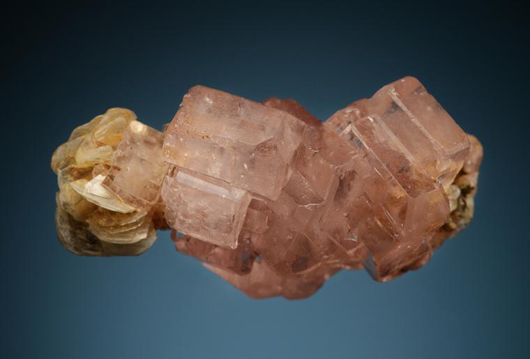 APATITE with MUSCOVITE