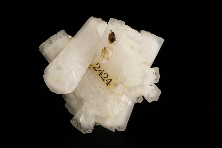 BERYL