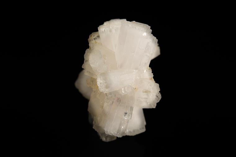 BERYL