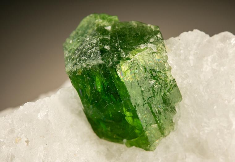 PARGASITE