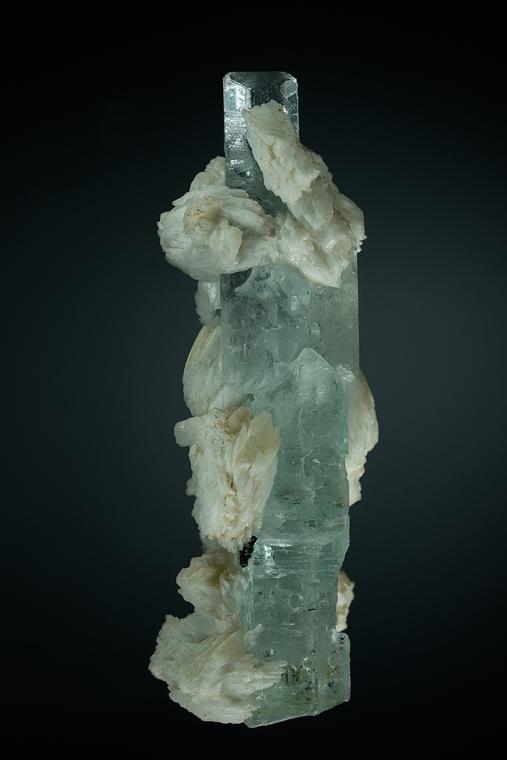 BERYL var. Aquamarine with ALBITE and FERROWODGINITE