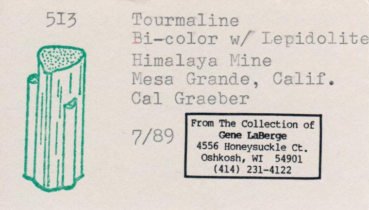 ELBAITE with LEPIDOLITE