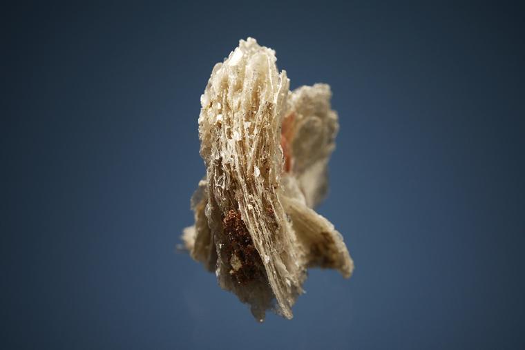 SERANDITE on POLYLITHIONITE