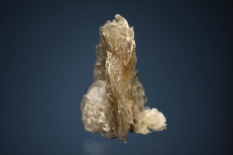 SERANDITE on POLYLITHIONITE
