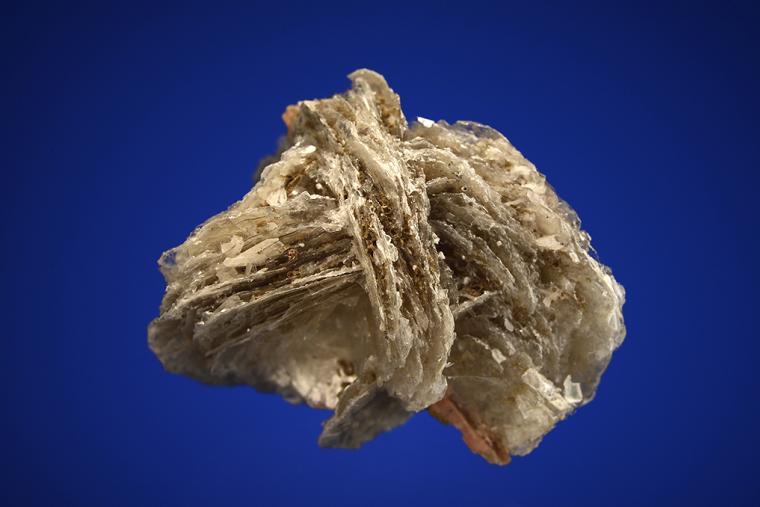 SERANDITE on POLYLITHIONITE
