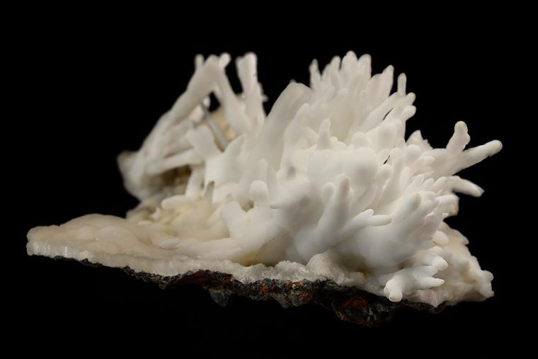 ARAGONITE var. Flos Ferri