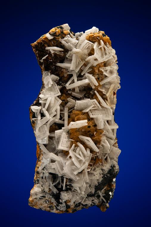 BARITE with ACANTHITE on SIDERITE