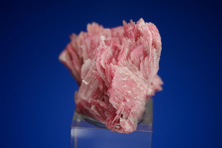 RHODONITE