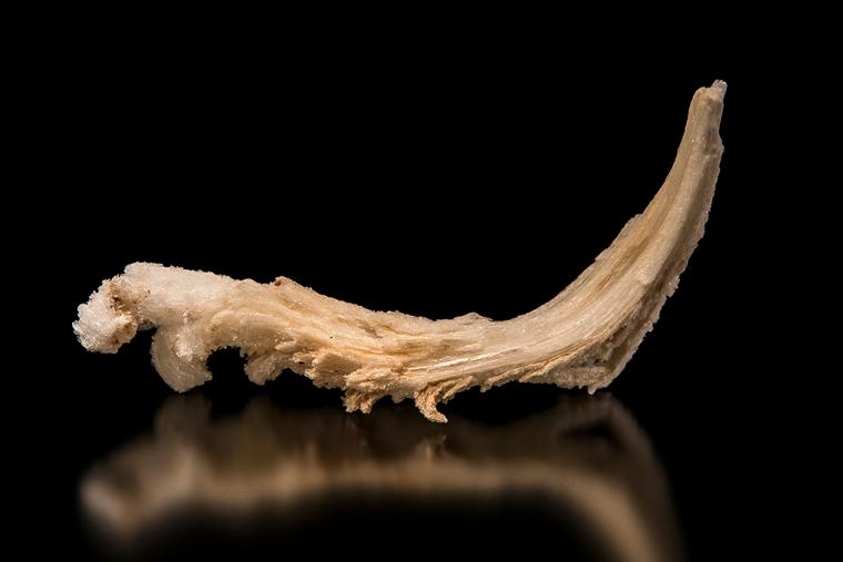 GYPSUM