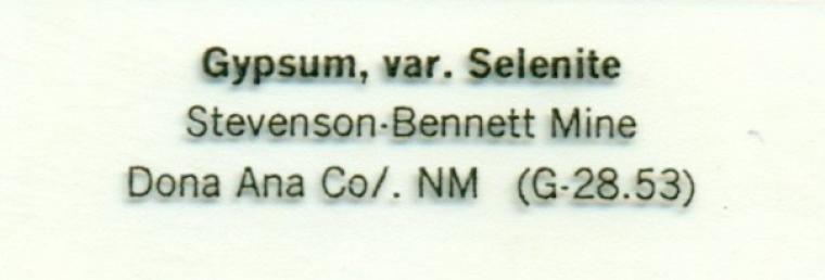 GYPSUM