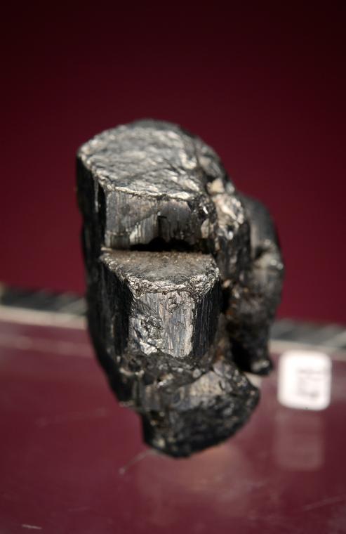 STEPHANITE