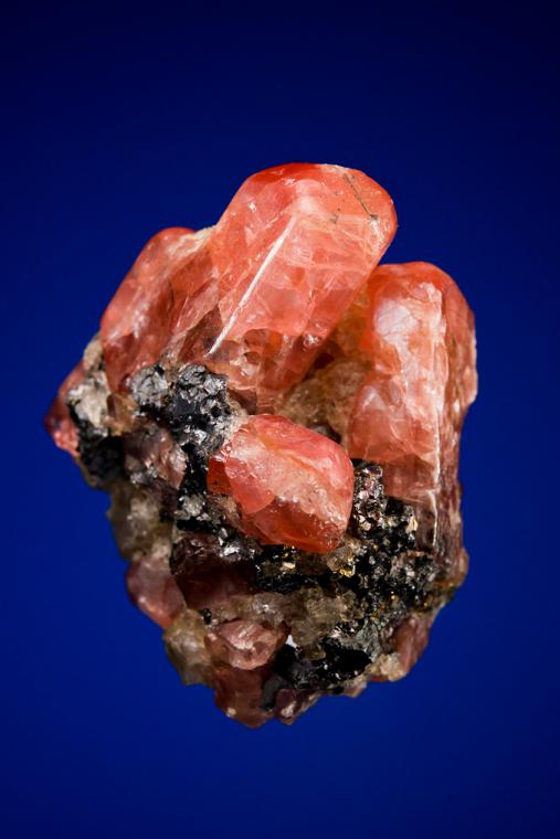 BUSTAMITE