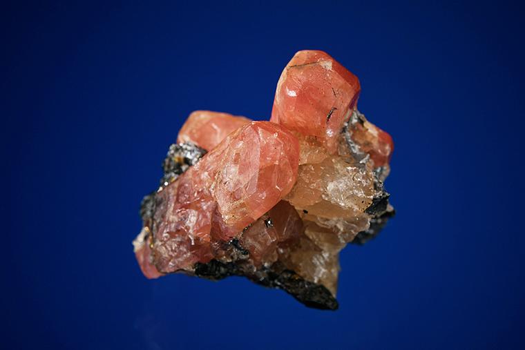 BUSTAMITE