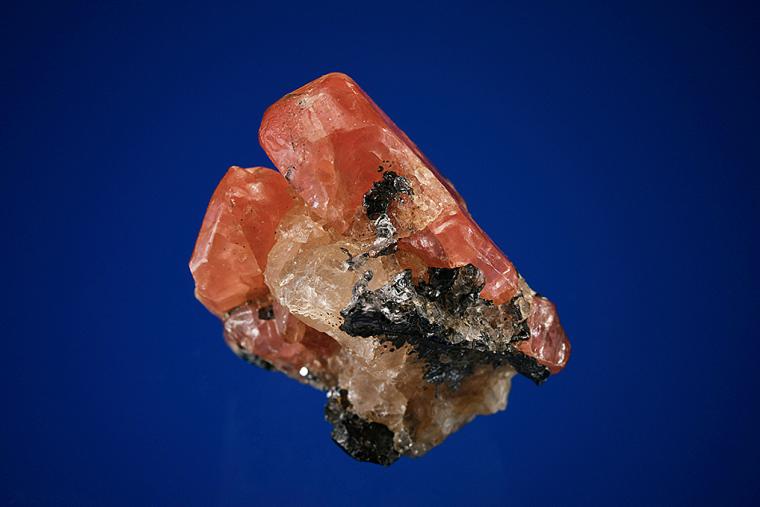 BUSTAMITE