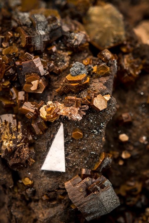 SHIGAITE with SEAMANITE
