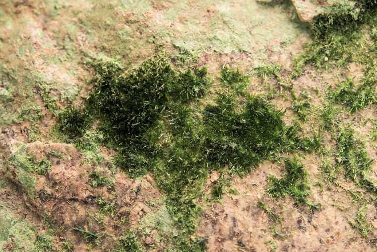OLIVENITE