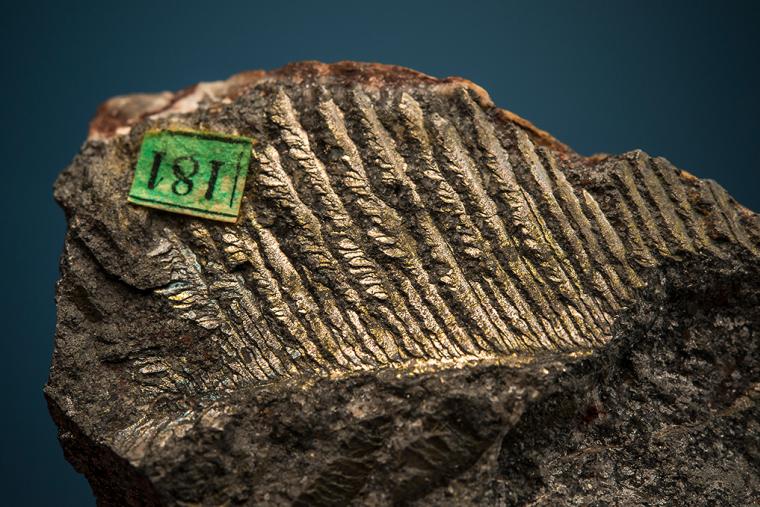 BISMUTH 