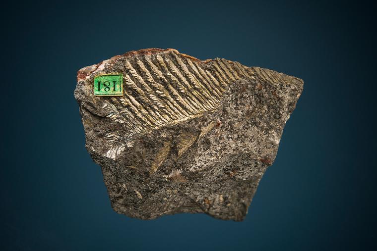 BISMUTH 