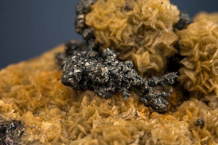 ACANTHITE on SIDERITE