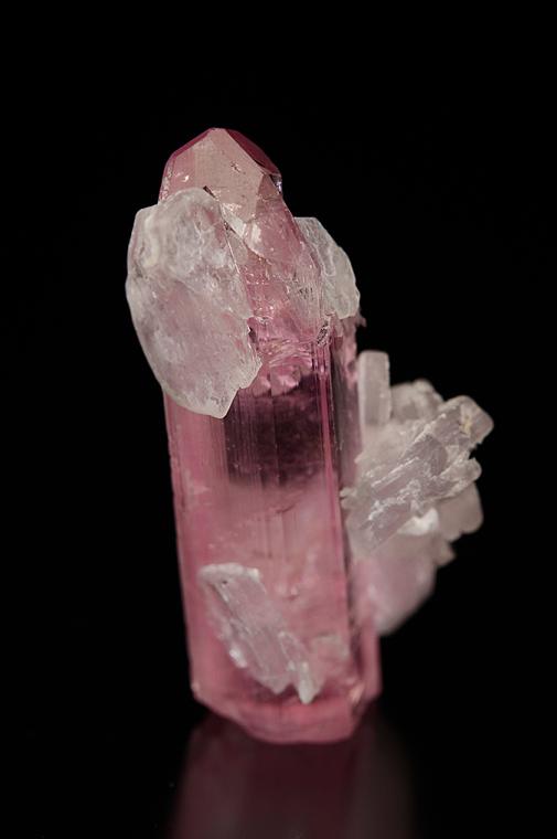 ELBAITE with LEPIDOLITE