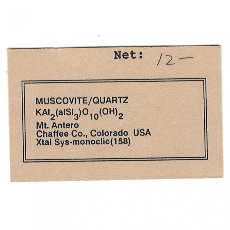 MUSCOVITE with QUARTZ var. Smoky and ALBITE