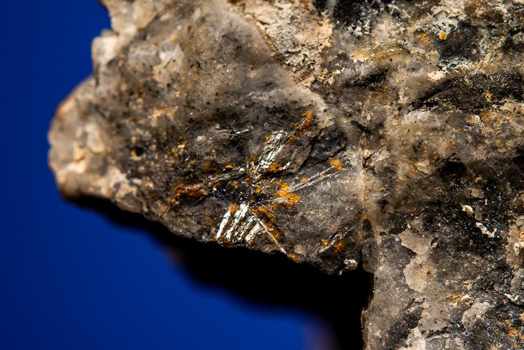 GOLD with BISMUTHINITE and FAMATINITE