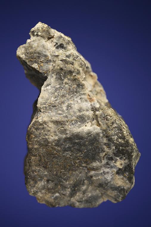 GOLD with BISMUTHINITE and FAMATINITE