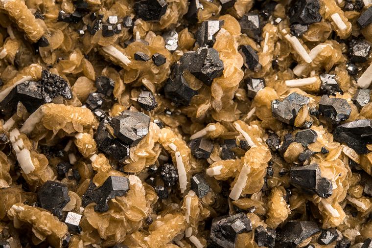 GALENA and SILVER on SIDERITE and BARITE