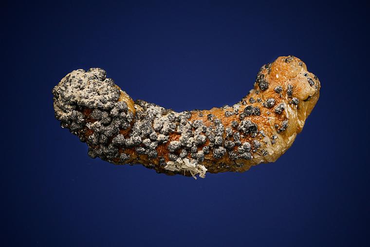 GALENA on SIDERITE
