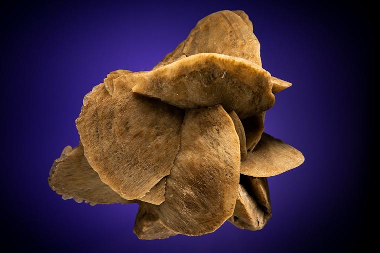 GYPSUM