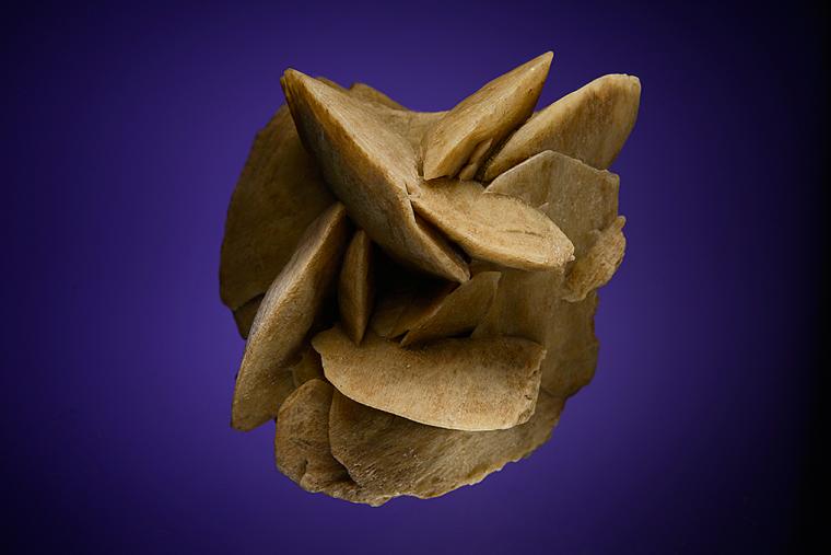 GYPSUM