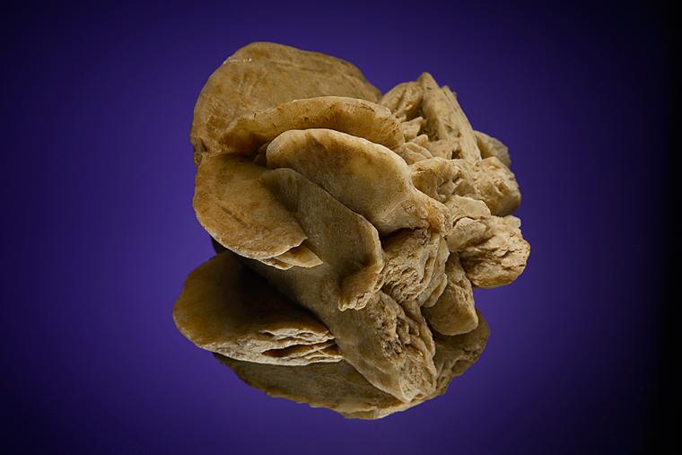 GYPSUM