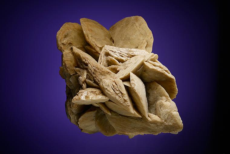 GYPSUM