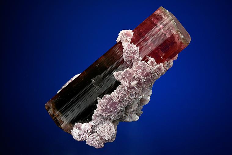 ELBAITE with LEPIDOLITE