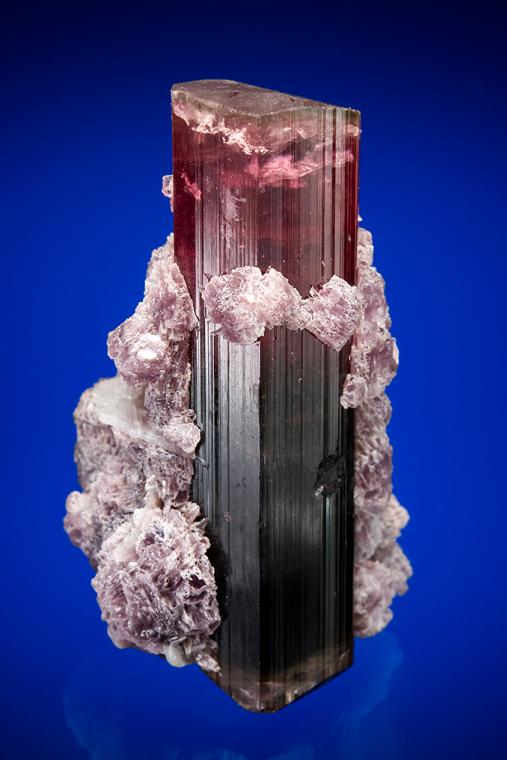 ELBAITE with LEPIDOLITE