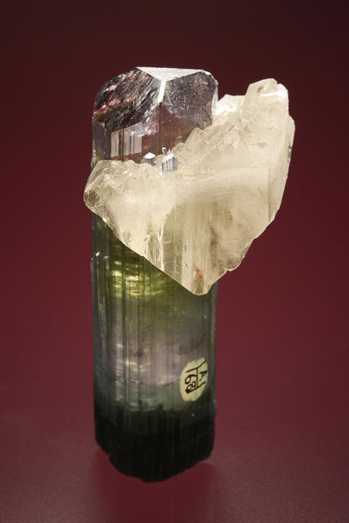 ELBAITE with QUARTZ