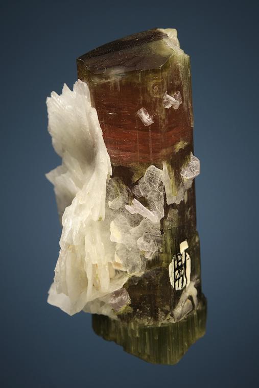 ELBAITE with LEPIDOLITE and ALBITE var. Cleavelandite